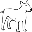 Kutyatartás szabályai - Kutyanevek