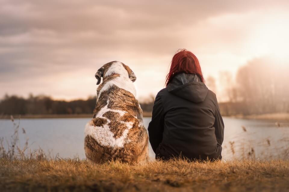 Kutya és ember