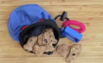 Kutyakeksz recept: készítsünk finomságot